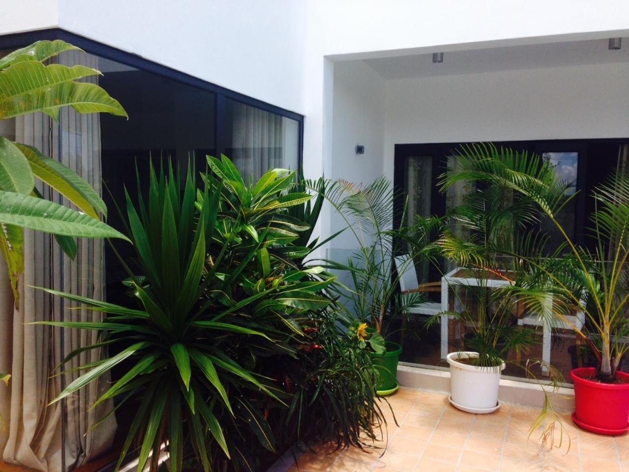 Pingo Premium Apartment La Gaulette Cameră foto